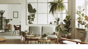 Read more about the article Why Professional Staging Really Matters