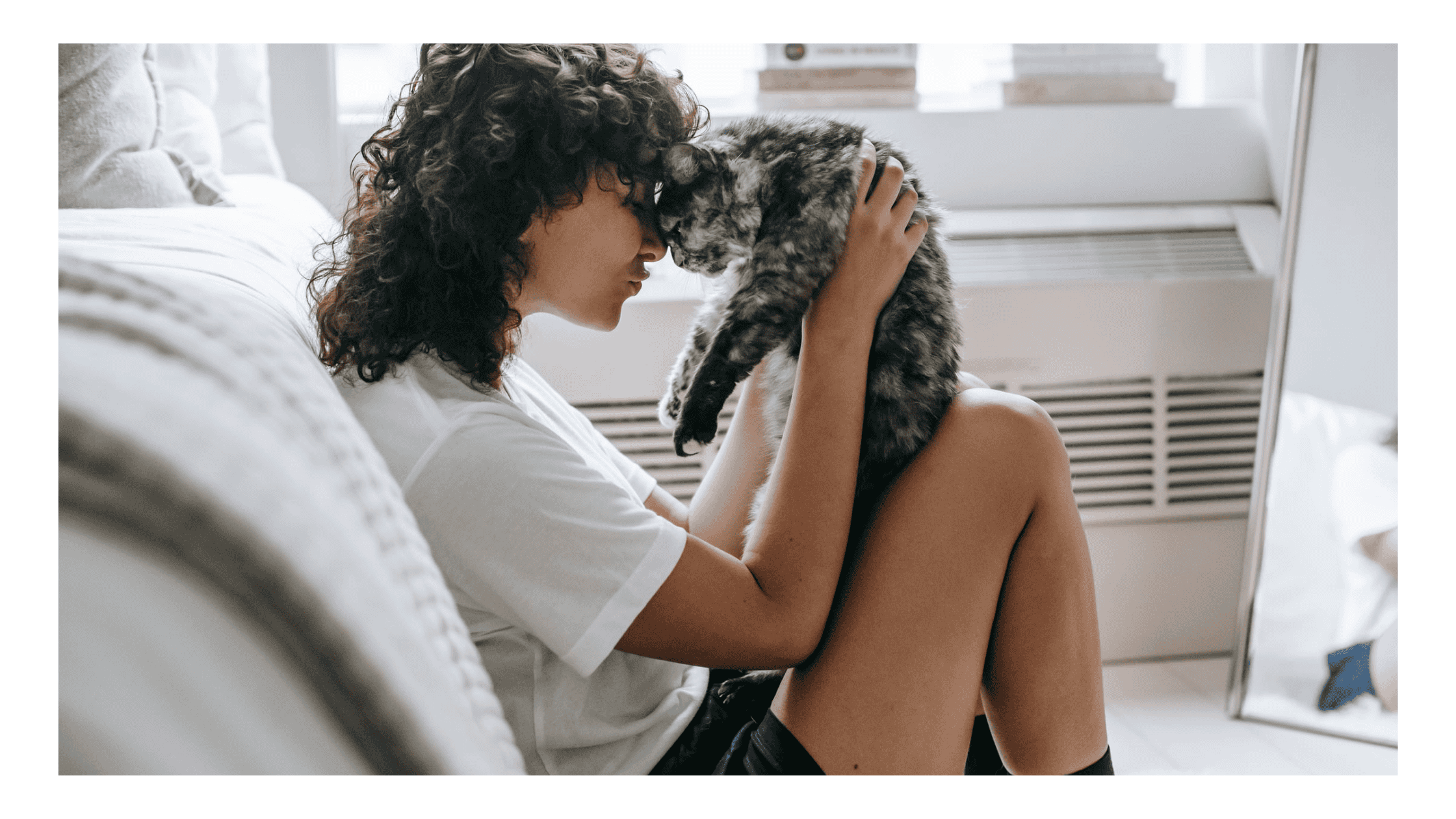 Read more about the article Overcoming Challenges When Moving With Pets